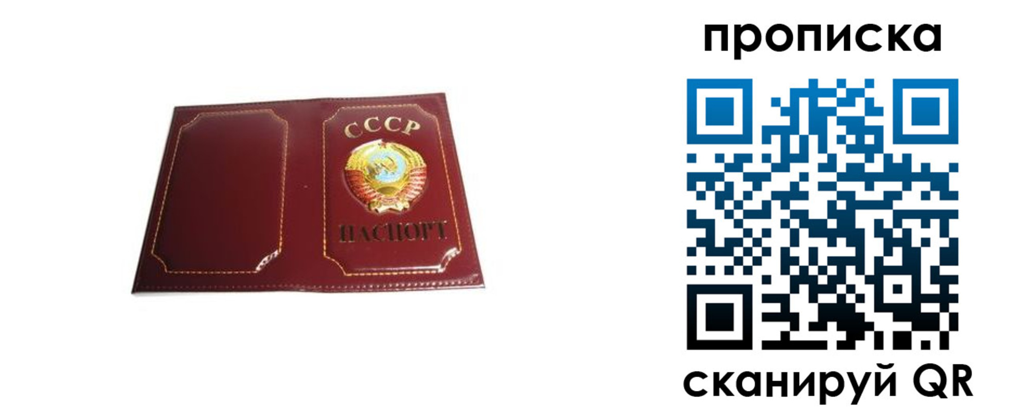 прописка гарантия в Боготоле